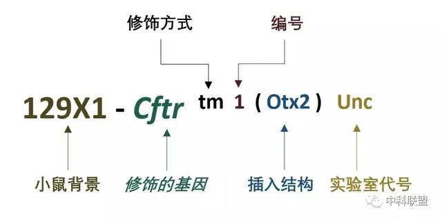 图示, 示意图

描述已自动生成