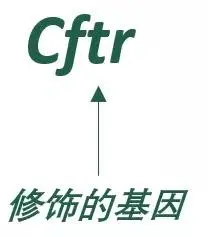 图片包含 日程表

描述已自动生成