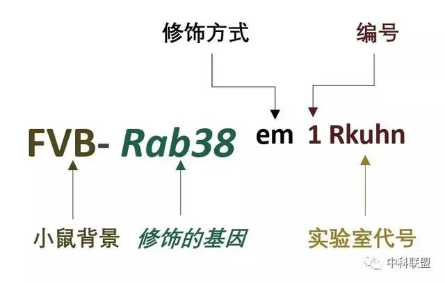 图示, 示意图

描述已自动生成