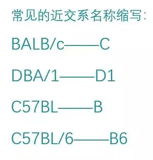 图表

低可信度描述已自动生成