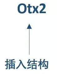 图示

中度可信度描述已自动生成