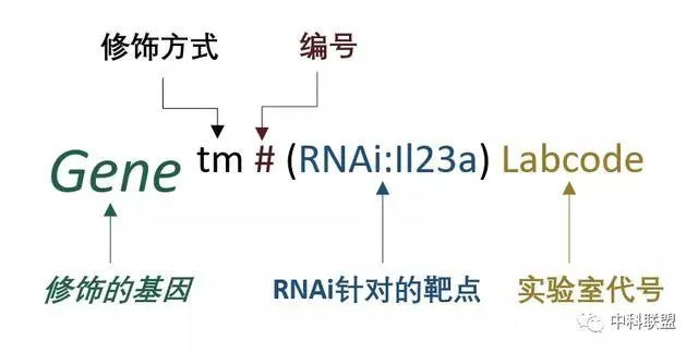 图示, 日程表

描述已自动生成