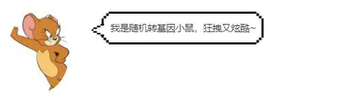 矩形

低可信度描述已自动生成