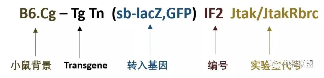图表, 箱线图

描述已自动生成