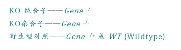 手机屏幕截图

描述已自动生成
