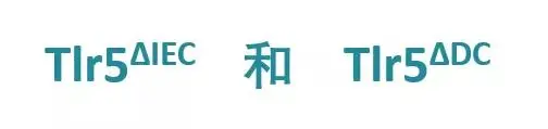 徽标

低可信度描述已自动生成