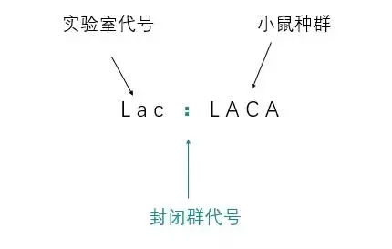 图示

描述已自动生成