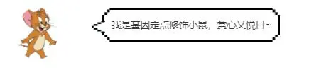 文本

描述已自动生成